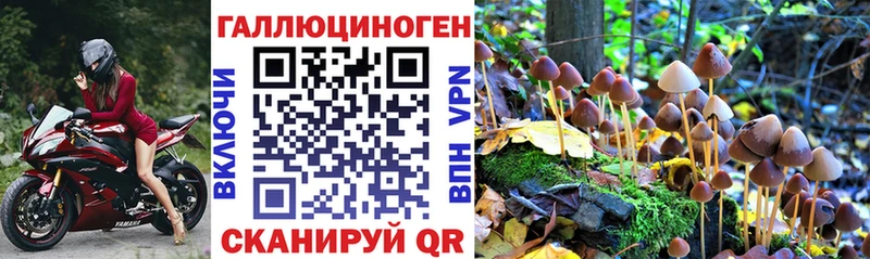 наркота  Северск  mega сайт  Псилоцибиновые грибы мухоморы 